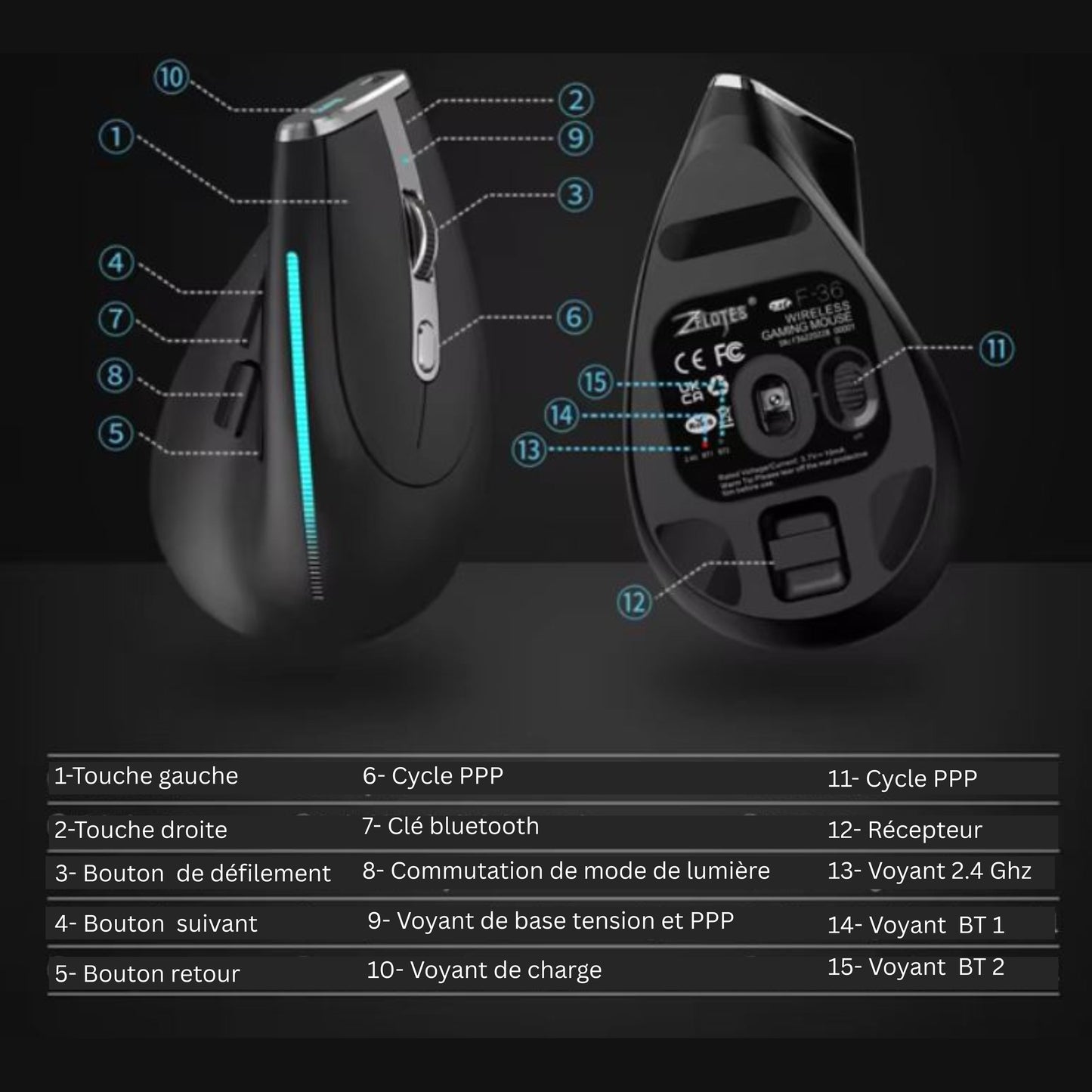 ⭐️⭐️⭐️⭐️⭐️ Souris Ergonomique sans fil, double Bluetooth, multi-connectivité « F-36 », programmable, rechargeable, connectable sur 3 appareils simultanément